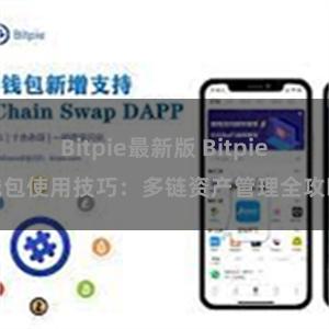 Bitpie最新版 Bitpie钱包使用技巧：多链资产管理全攻略