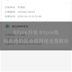 Bitpie升级 Bitpie钱包支持的区块链网络全面解析