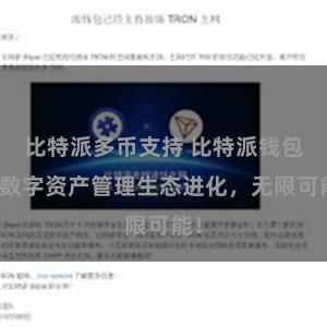 比特派多币支持 比特派钱包：数字资产管理生态进化，无限可能！