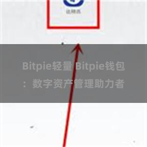 Bitpie轻量 Bitpie钱包：数字资产管理助力者