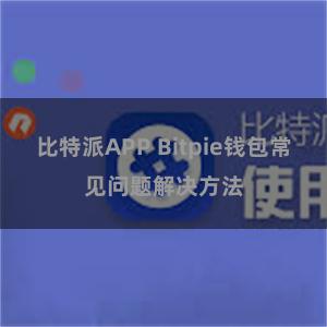 比特派APP Bitpie钱包常见问题解决方法