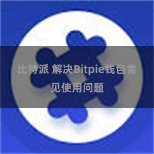 比特派 解决Bitpie钱包常见使用问题