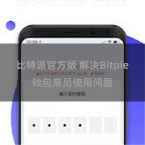 比特派官方版 解决Bitpie钱包常见使用问题