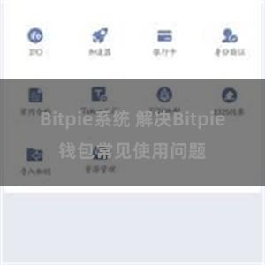 Bitpie系统 解决Bitpie钱包常见使用问题