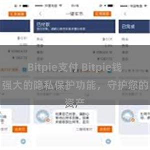 Bitpie支付 Bitpie钱包：强大的隐私保护功能，守护您的资产