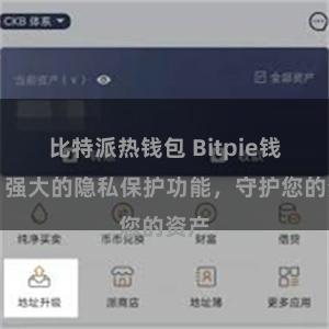 比特派热钱包 Bitpie钱包：强大的隐私保护功能，守护您的资产