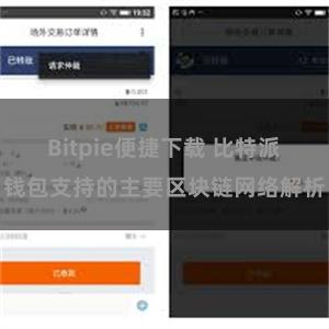 Bitpie便捷下载 比特派钱包支持的主要区块链网络解析