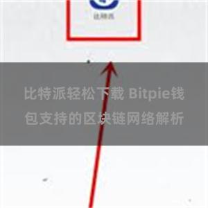 比特派轻松下载 Bitpie钱包支持的区块链网络解析