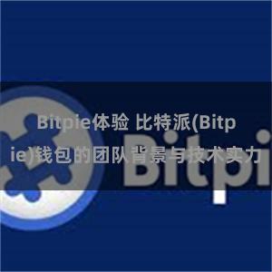 Bitpie体验 比特派(Bitpie)钱包的团队背景与技术实力