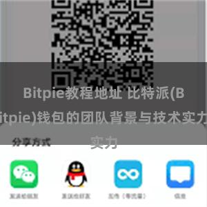 Bitpie教程地址 比特派(Bitpie)钱包的团队背景与技术实力