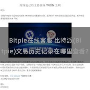 Bitpie在线客服 比特派(Bitpie)交易历史记录在哪里查看？