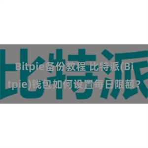 Bitpie备份教程 比特派(Bitpie)钱包如何设置每日限额？