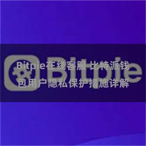 Bitpie在线客服 比特派钱包用户隐私保护措施详解